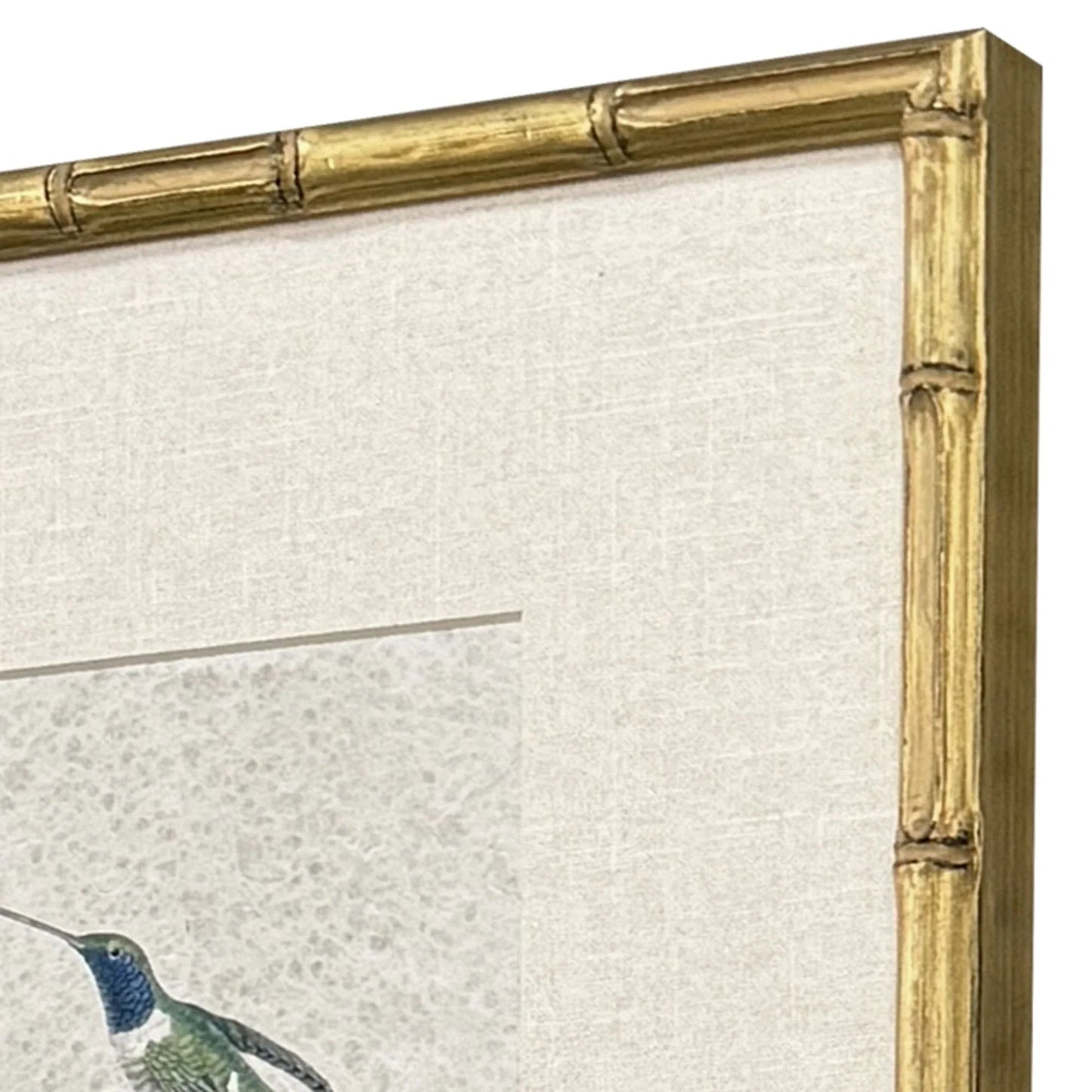 Antique Hummingbirds Framed Wall Art 4PC