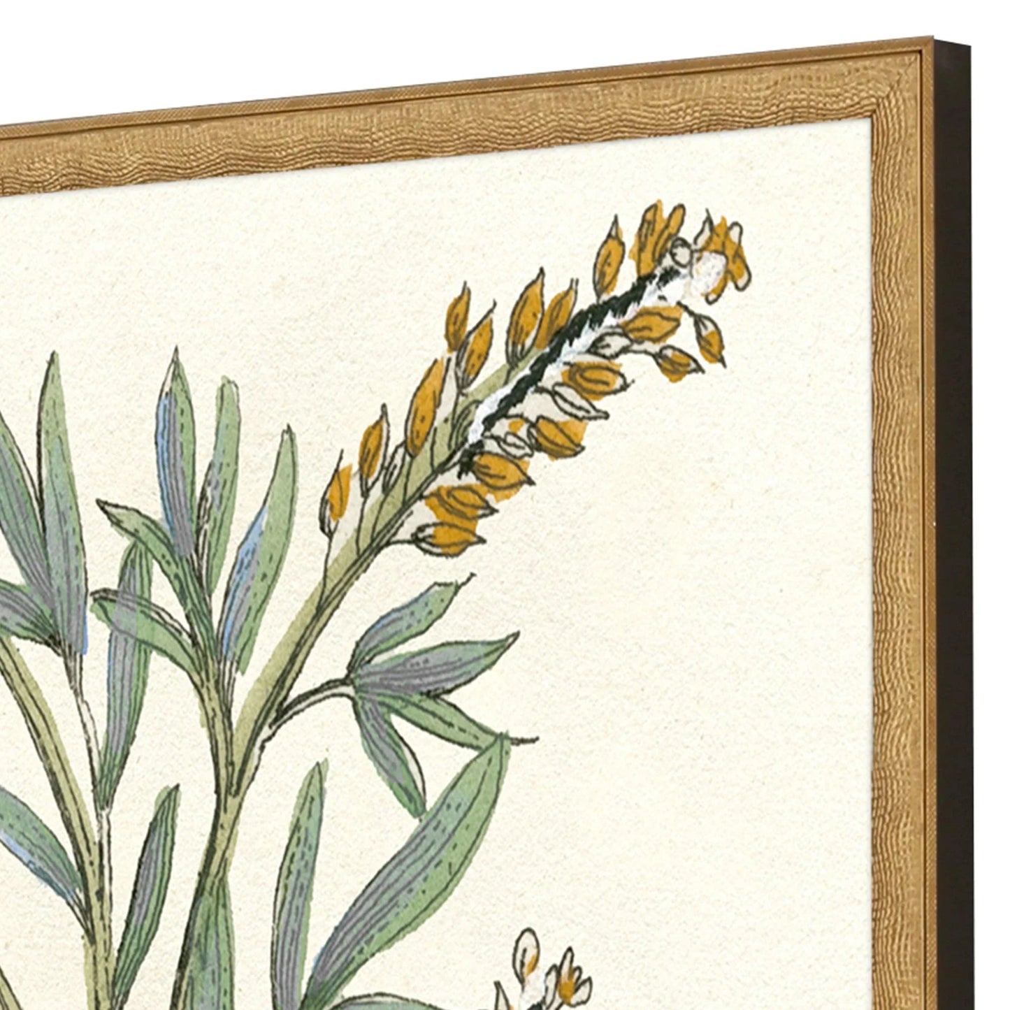 Botanical Plants Wood Framed Wall Art 2PC