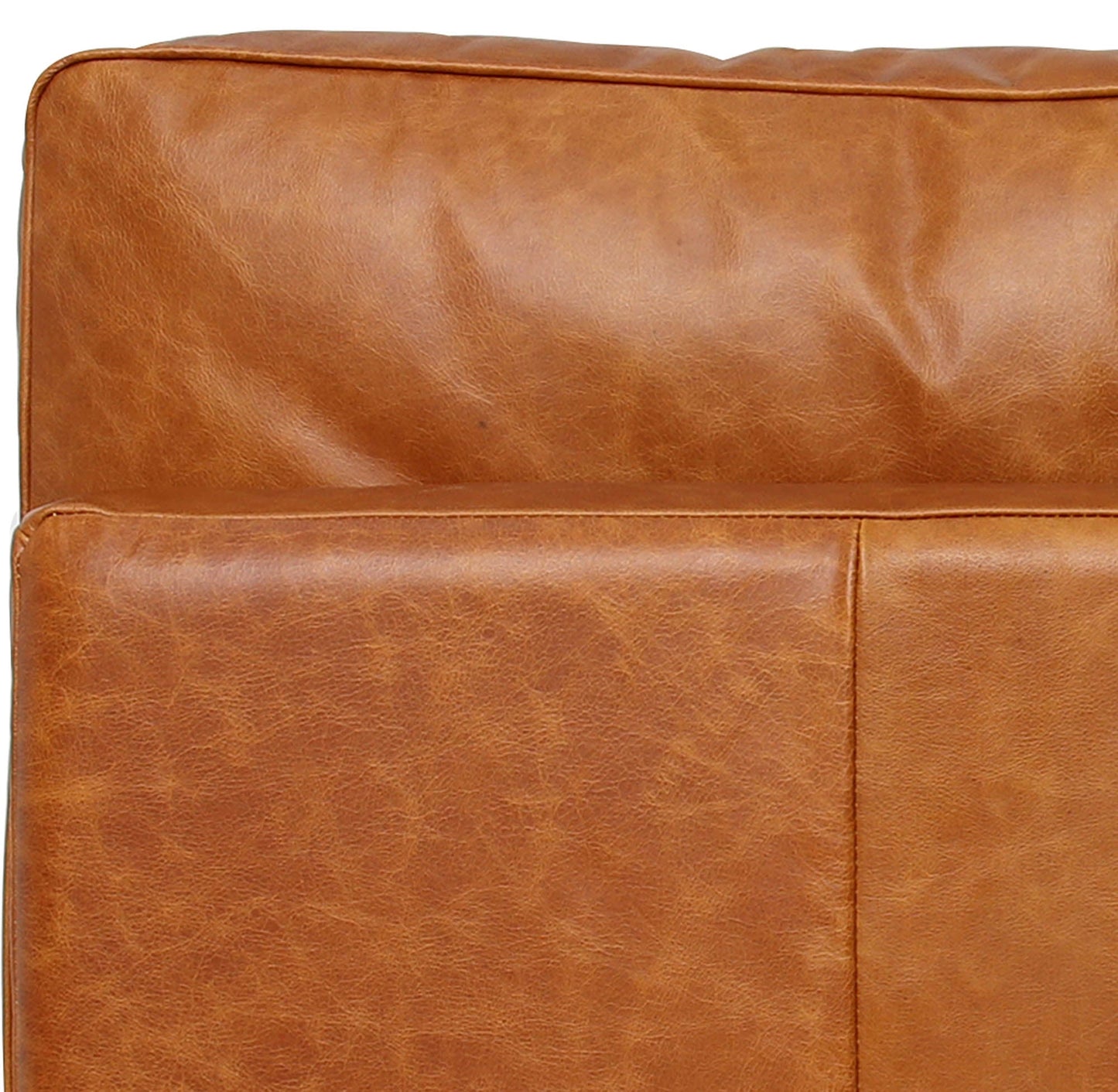 Den Top Grain Leather Sofa
