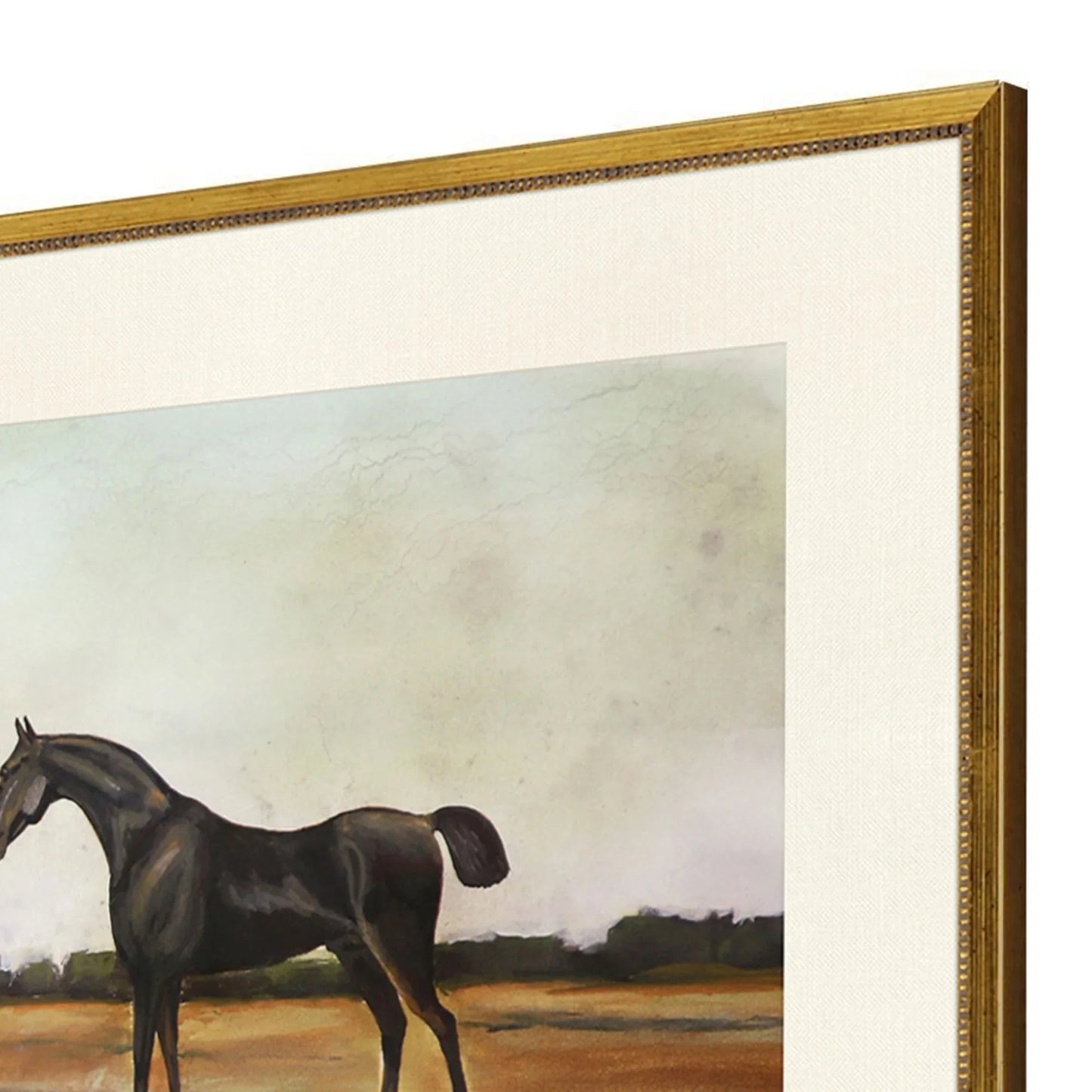 Equestrian Wood Multi Framed Wall Art 2PC