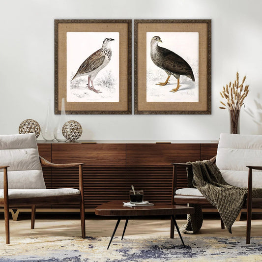 Francolinus Birds Wood Framed Wall Art 2PC