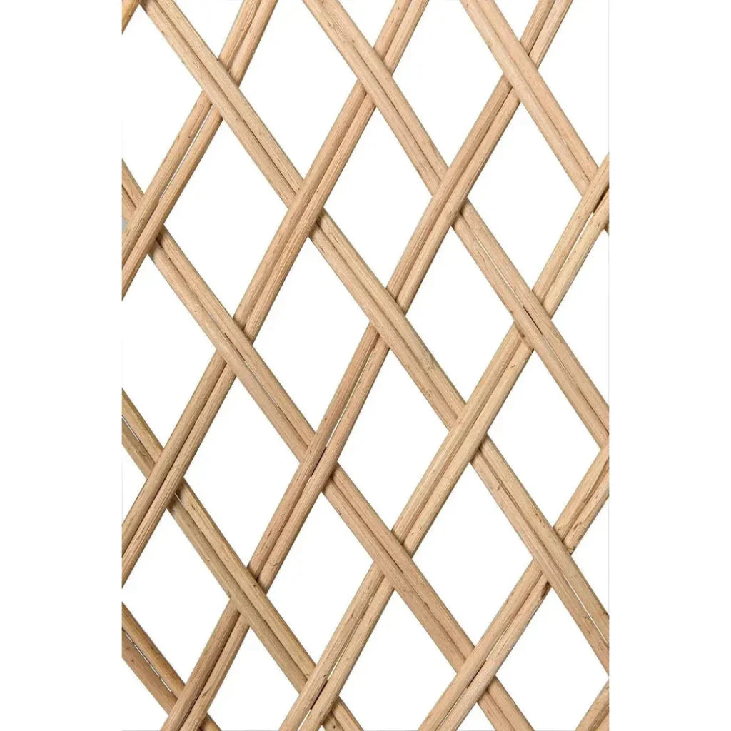 Gigi Birch and Rattan Arm Chair - LOOMLAN - Noir - Accent Chairs