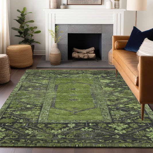 Haelaris Green Washable Indoor-Outdoor Rug