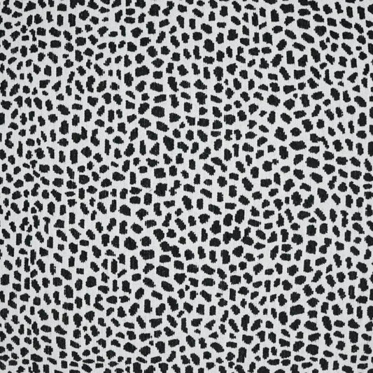 Hopper Animal Black White Large Throw Pillow Insert - LOOMLAN - D.V. Kap - Throw Pillows