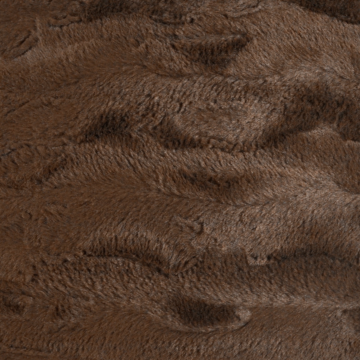 Orca Coffee Brown Throw Pillow