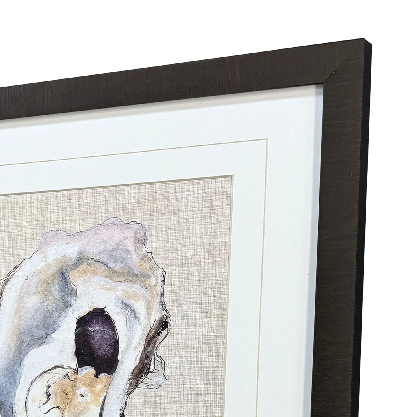 Oyster Shell Study Neutral Framed Wall Art 3PC