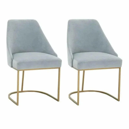 Parissa Performance Fabric Armless Dining Chair 2PC - LOOMLAN - Essentials For Living - Dining Chairs