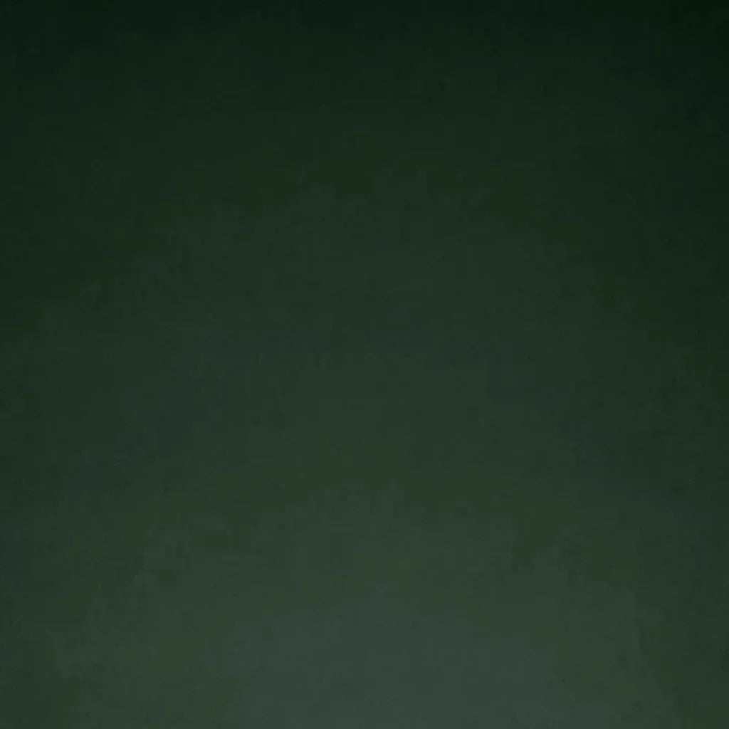 Posh Box Forest Green Throw Pillow Insert - LOOMLAN - D.V. Kap - Throw Pillows