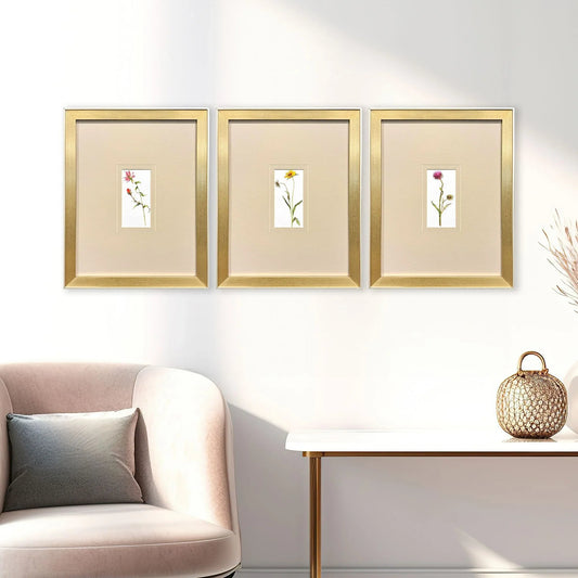 Pretty Florals Multi Framed Wall Art 3PC