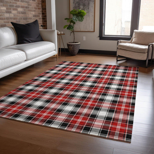Quaanor Black Washable Indoor-Outdoor Rug