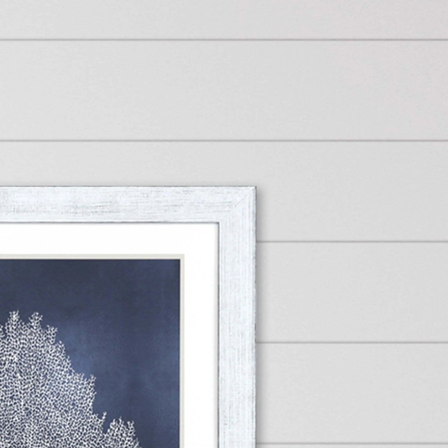 Sea Fan on Blue Wood Framed Wall Art