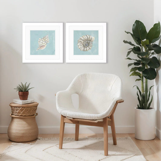 Seashell Glass Front Framed Wall Art 2PC
