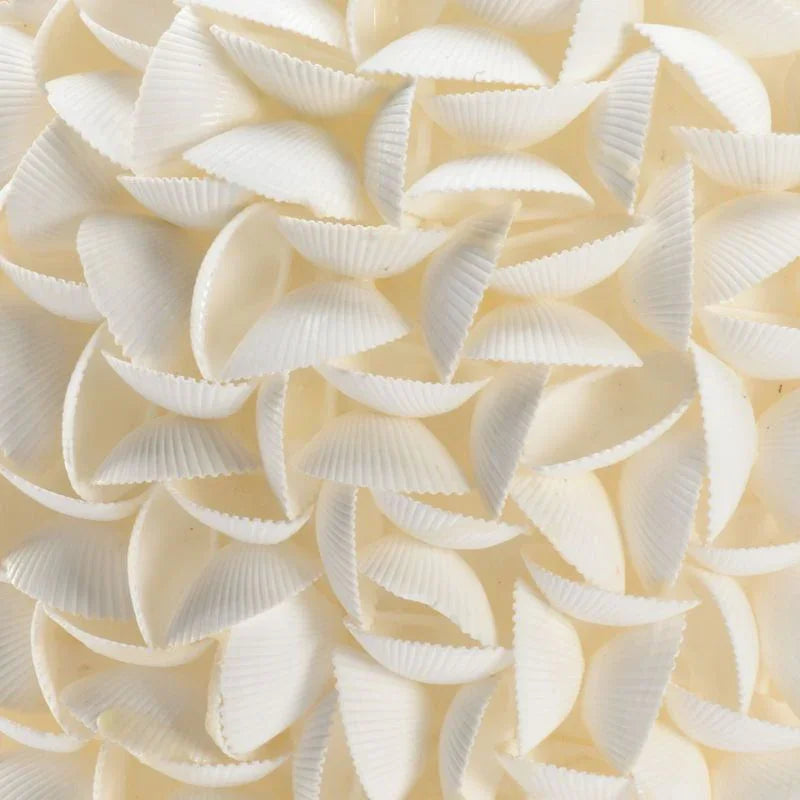 Shelled Arca Shells Design Urn Sculpture - LOOMLAN - Chelsea House - Statues & Sculptures