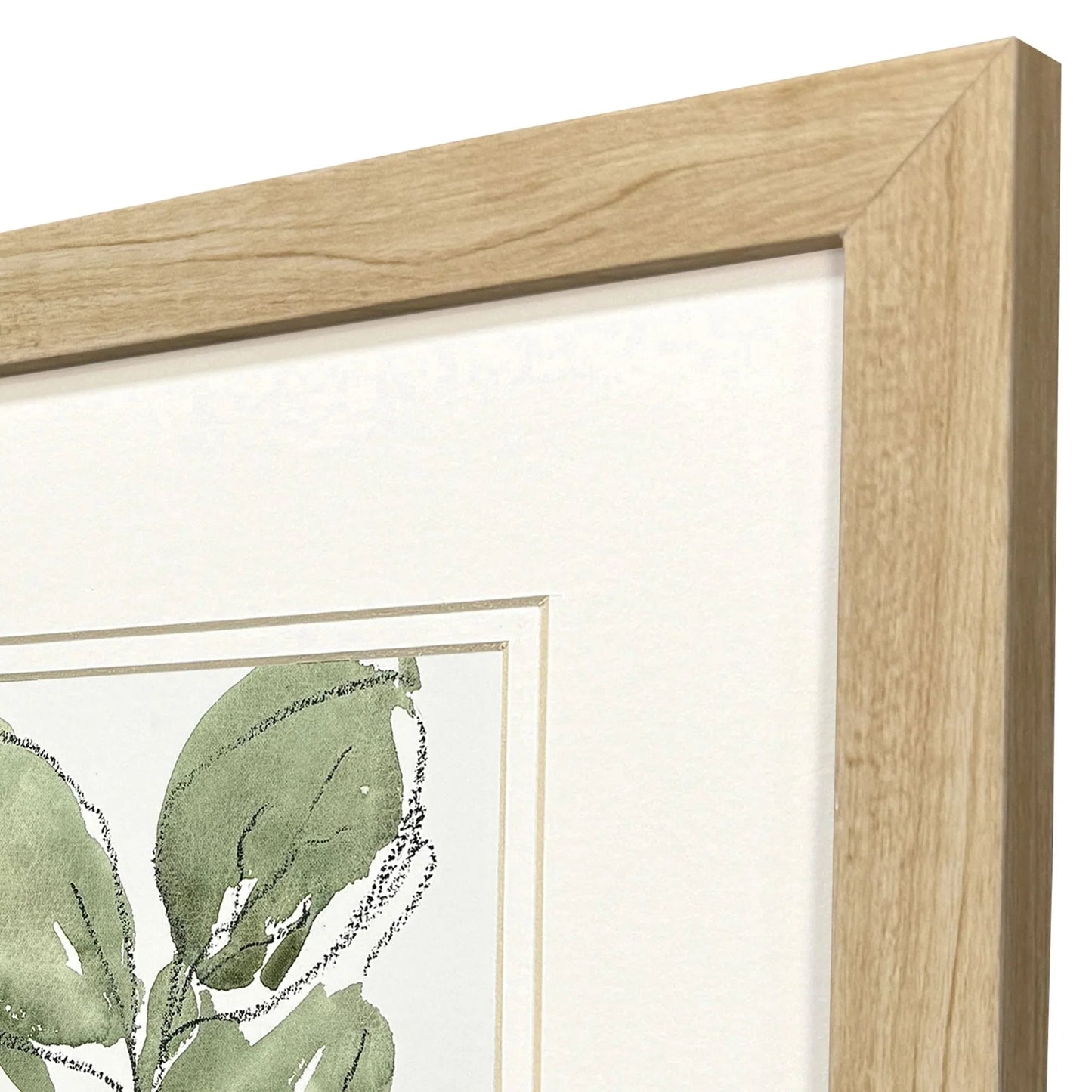 Summer Leaves Green Framed Wall Art 2PC