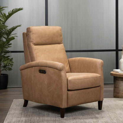 Haskell Leather Made Usb Power Recliner