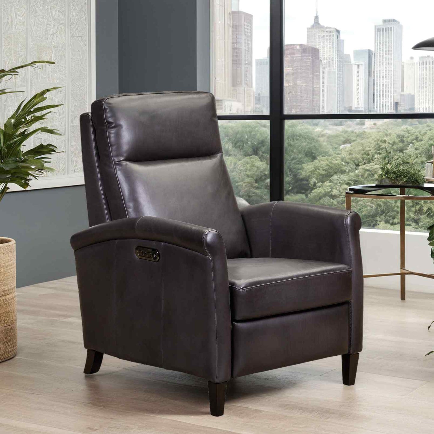 Haskell Leather Made Usb Power Recliner