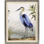 Blue Heron Study Wood Frame Framed Wall Art