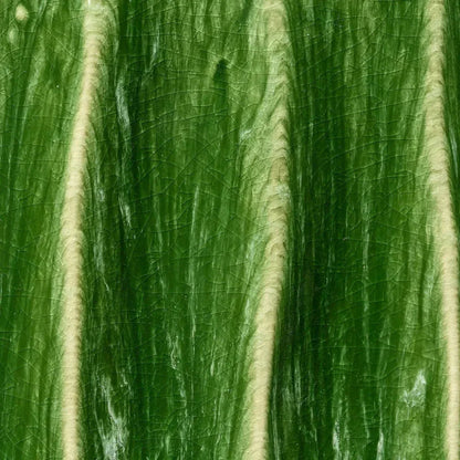 Algae Round Ceramic Side Table