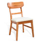 American Modern Armless Dining Chair 2PC
