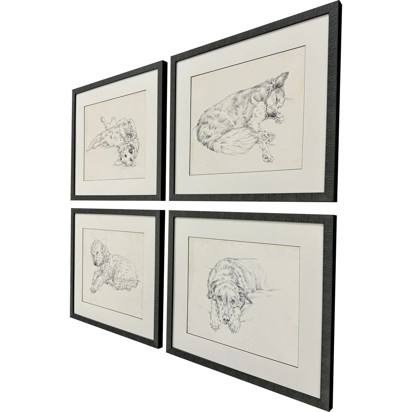 Antique Dog Sketch Framed Wall Art 4PC