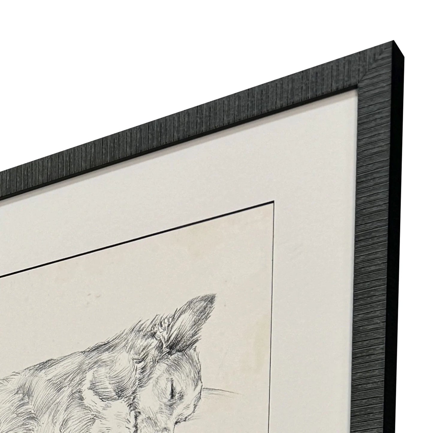 Antique Dog Sketch Framed Wall Art 4PC