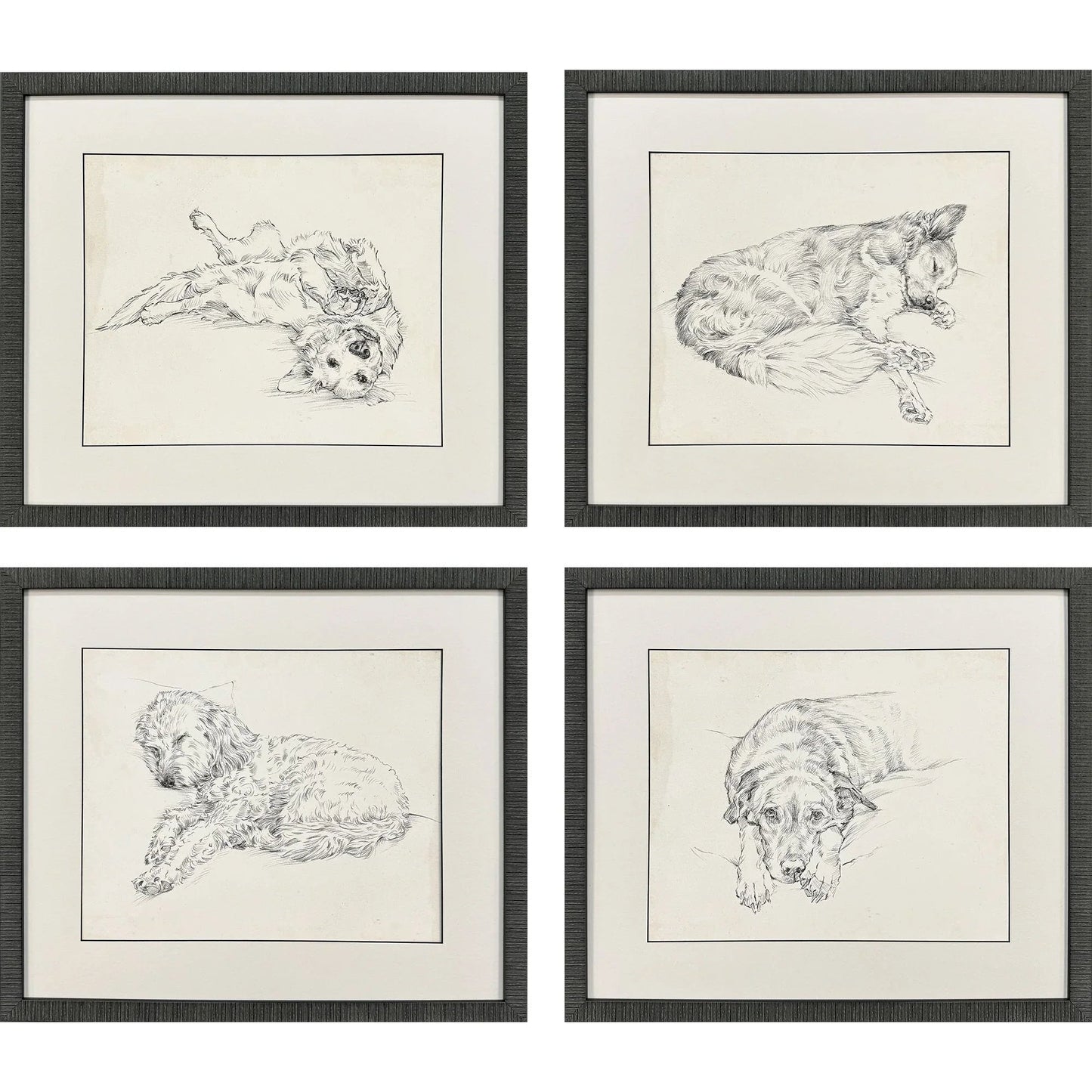 Antique Dog Sketch Framed Wall Art 4PC