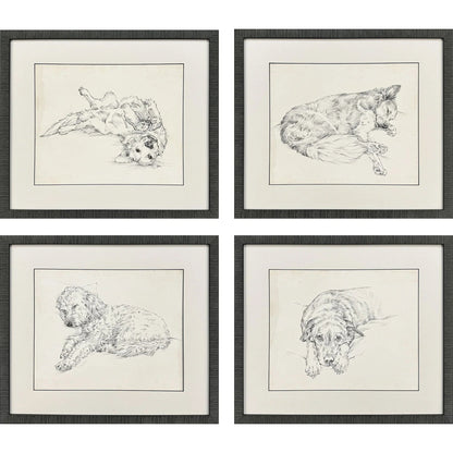 Antique Dog Sketch Framed Wall Art 4PC