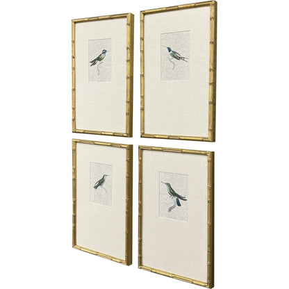Antique Hummingbirds Framed Wall Art 4PC