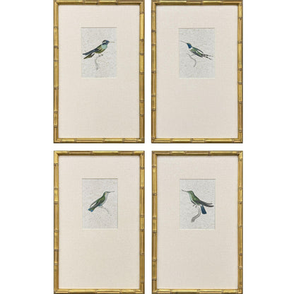 Antique Hummingbirds Framed Wall Art 4PC