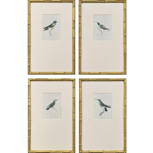 Antique Hummingbirds Framed Wall Art 4PC