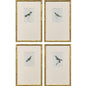 Antique Hummingbirds Framed Wall Art 4PC