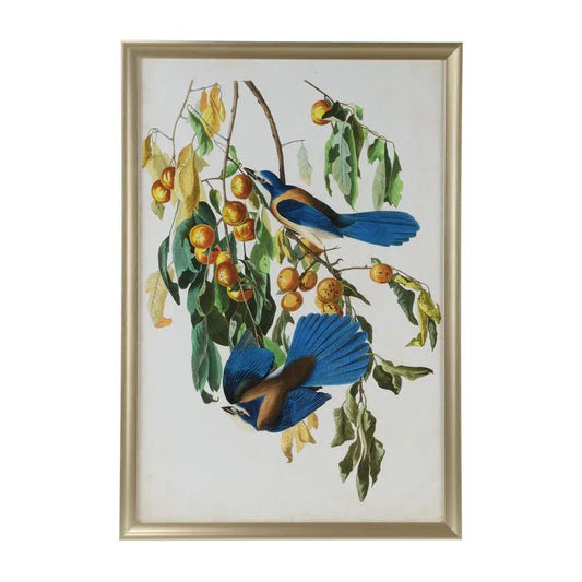 Audubon Blue Jay II Wood Framed Artwork-Framed Wall Art-Chelsea House-LOOMLAN