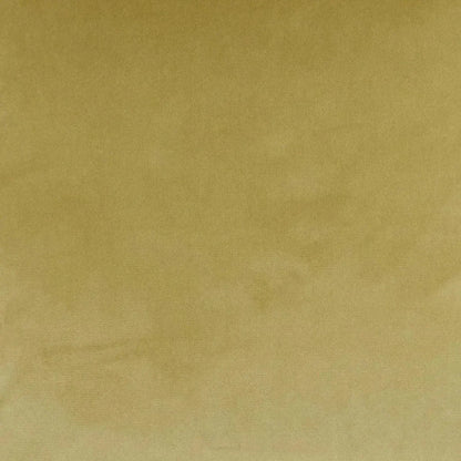 Belvedere Flange Maize Brown Throw Pillow Insert - LOOMLAN - D.V. Kap - Throw Pillows