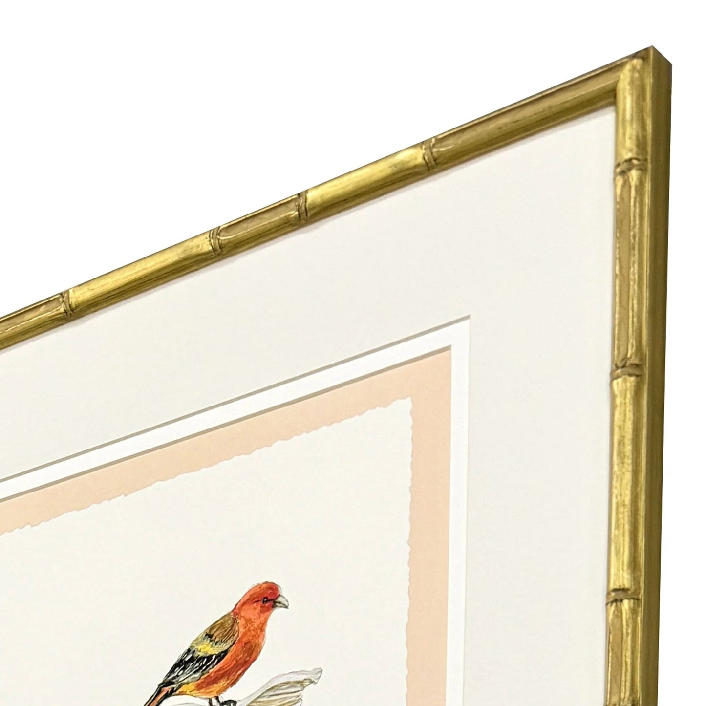 Bird with Shell Wood Framed Wall Art 4PC