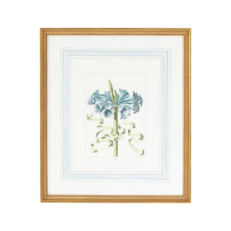 Bl Floral Gold Framed Artwork-Framed Wall Art-Chelsea House-Floral D-LOOMLAN