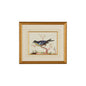 Blue Bird Gold Framed Watercolor Artwork-Framed Wall Art-Chelsea House-LOOMLAN