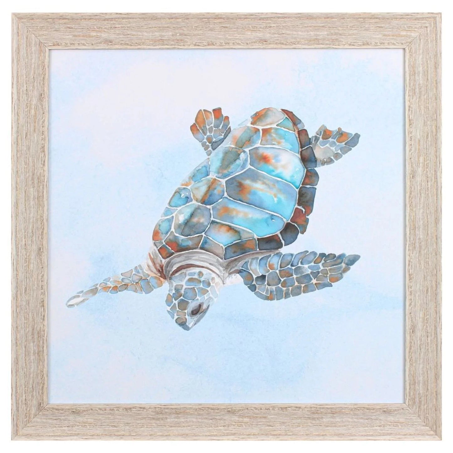 Blue Sea Turtle Glass Front Framed Wall Art