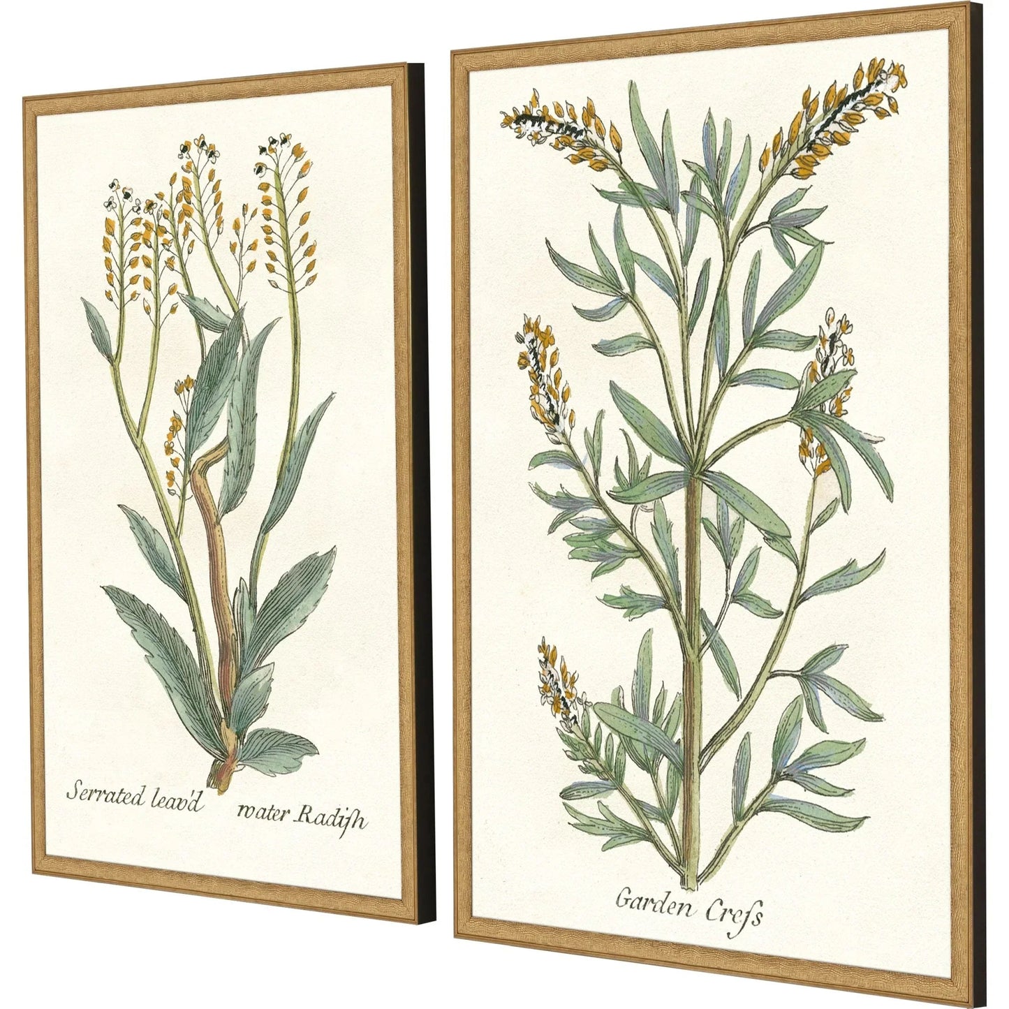 Botanical Plants Wood Framed Wall Art 2PC