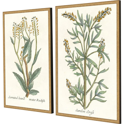 Botanical Plants Wood Framed Wall Art 2PC