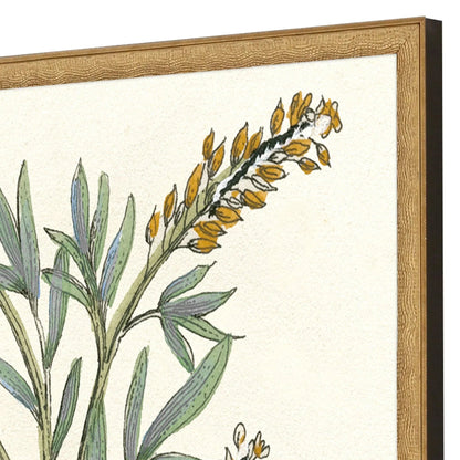 Botanical Plants Wood Framed Wall Art 2PC