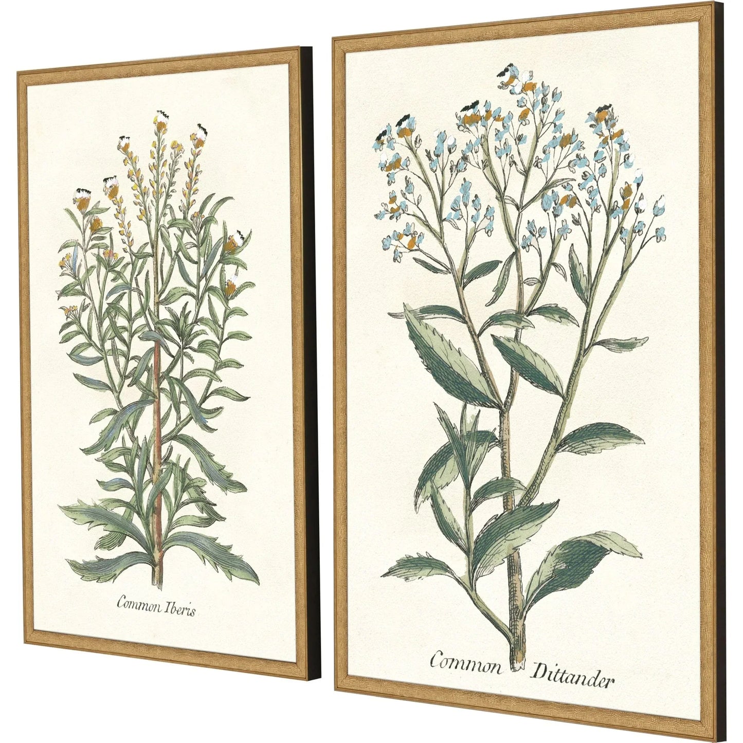 Botanical Plants Wood Framed Wall Art 2PC