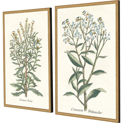 Botanical Plants Wood Framed Wall Art 2PC