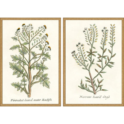 Botanical Plants Wood Framed Wall Art 2PC