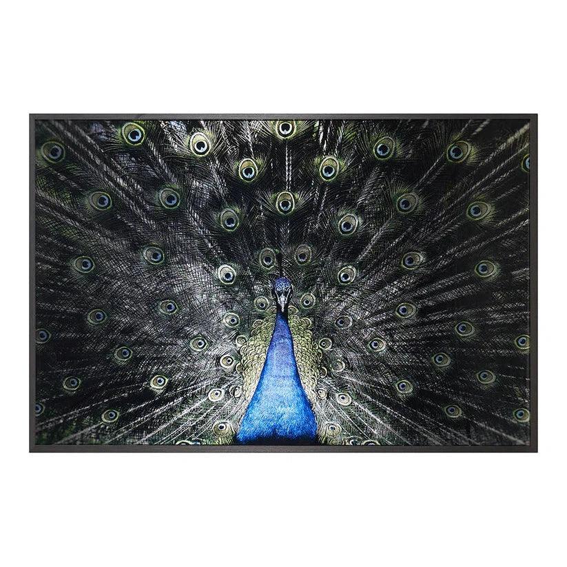 Brilliant Plumage Peacock Wall Art 72"x48"-Framed Wall Art-SUNPAN-LOOMLAN