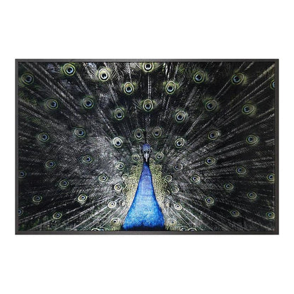 Brilliant Plumage Peacock Wall Art 72"x48"-Framed Wall Art-SUNPAN-LOOMLAN