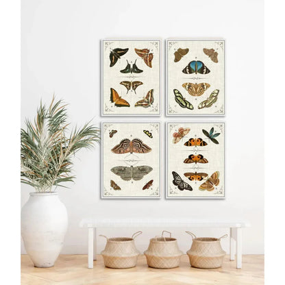 Butterfly Collection IV Artwork d Canvas Floating - LOOMLAN - LOOMLAN - Canvas Art