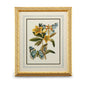 Butterfly Oasis Gold Leafed Framed Artwork-Framed Wall Art-Chelsea House-Oasis III-LOOMLAN