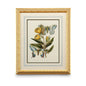 Butterfly Oasis Gold Leafed Framed Artwork-Framed Wall Art-Chelsea House-Oasis II-LOOMLAN