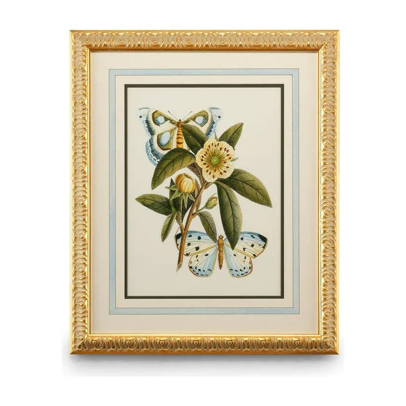 Butterfly Oasis Gold Leafed Framed Artwork-Framed Wall Art-Chelsea House-Oasis I-LOOMLAN
