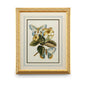 Butterfly Oasis Gold Leafed Framed Artwork-Framed Wall Art-Chelsea House-Oasis IV-LOOMLAN